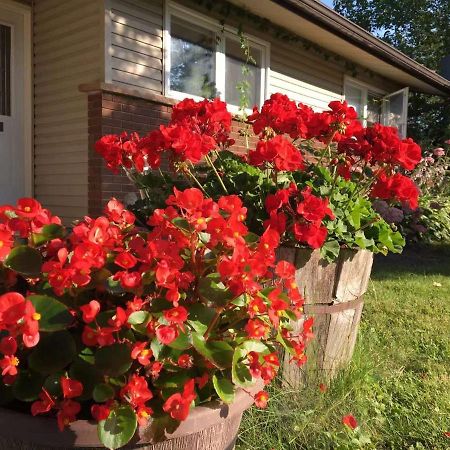 Graham Homestay Ottawa Dış mekan fotoğraf