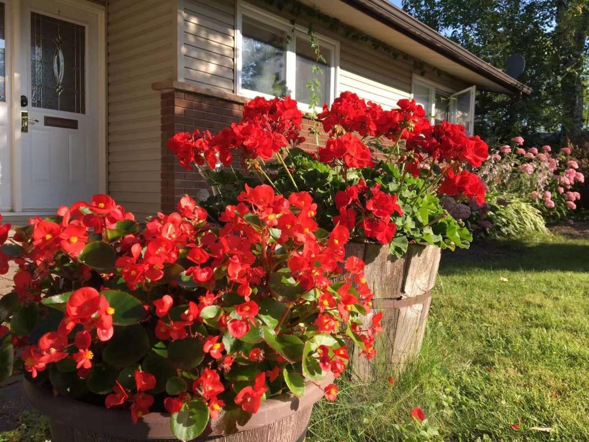 Graham Homestay Ottawa Dış mekan fotoğraf